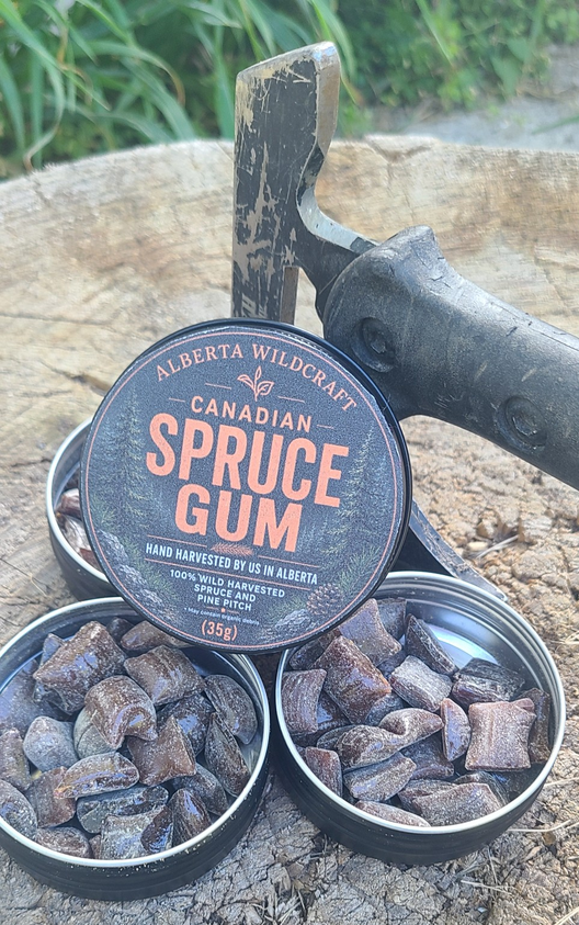 Canadian Spruce Gum  (4- Tin Bundle)