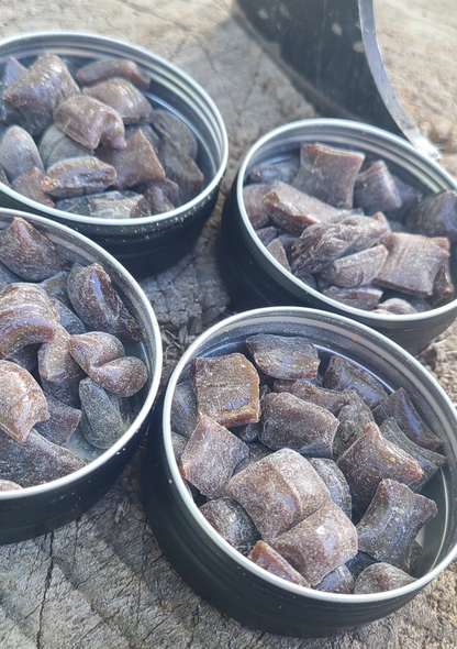 Canadian Spruce Gum  (4- Tin Bundle)