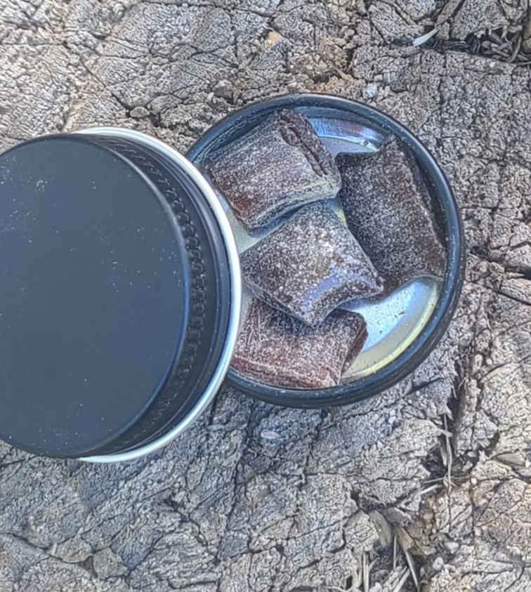 Canadian Spruce Gum – Mini Sample Tin