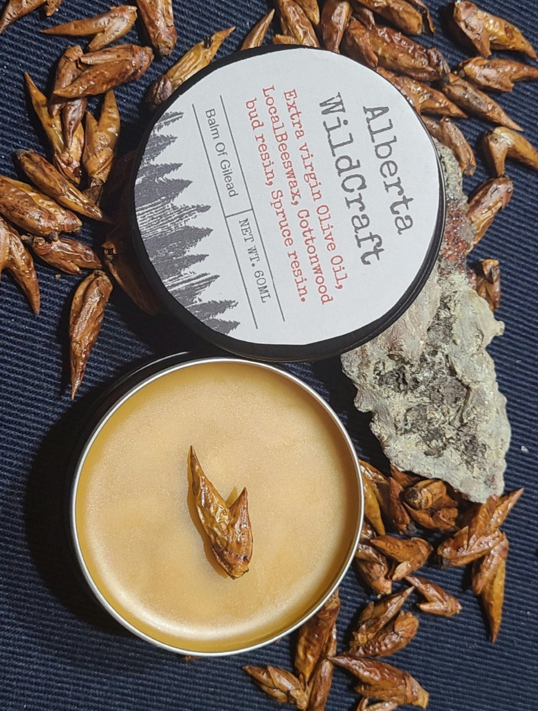 Balm of Gilead image 0