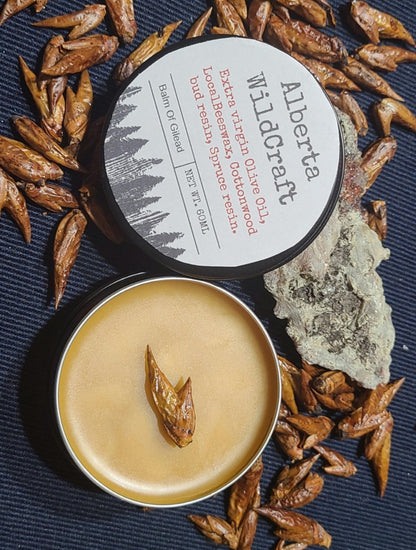 Balm of Gilead image 0
