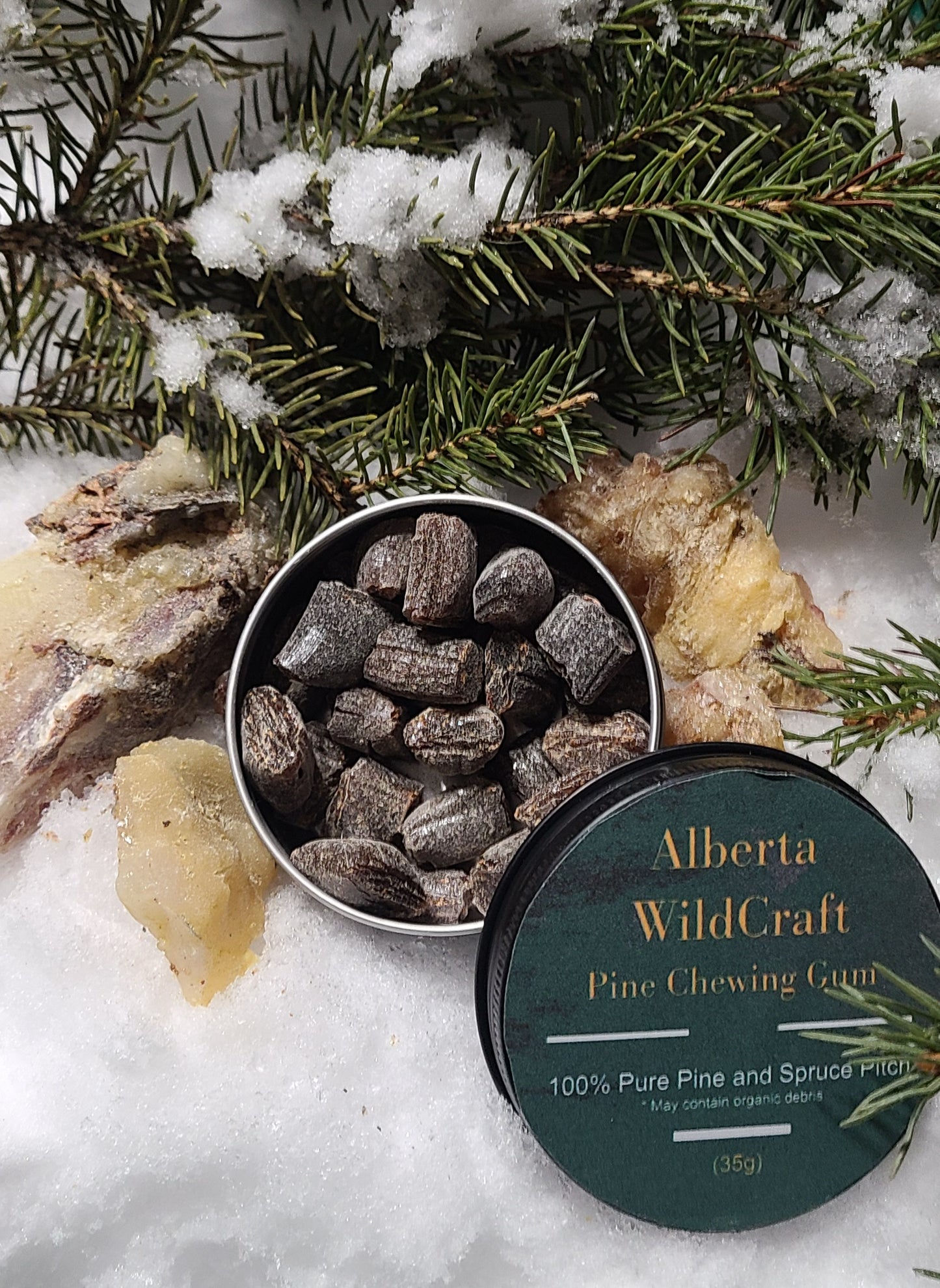 Spruce Resin Gum | Hand-Harvested Chewing Gum from Alberta