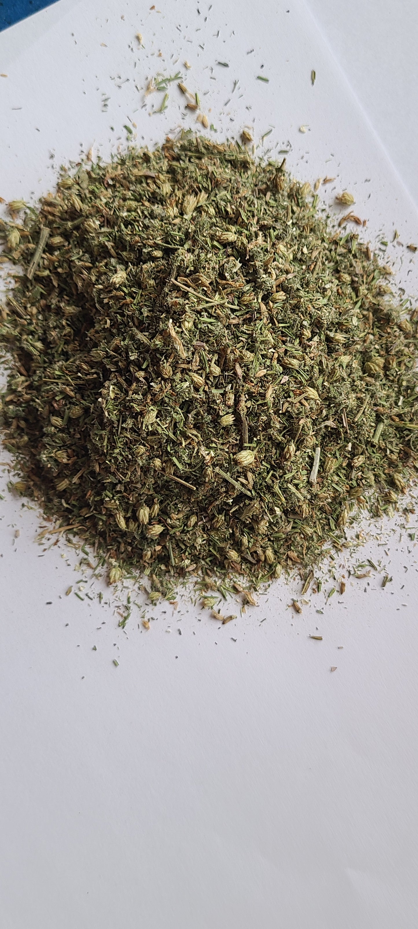 Love Your Kidney Tea — Seasonal Wildcrafted Blend