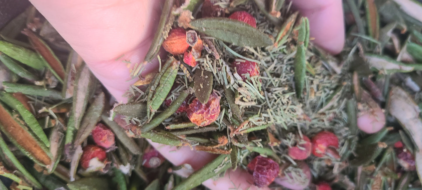 Spruce Winter Tea blend close up boreal forest herbal tea
