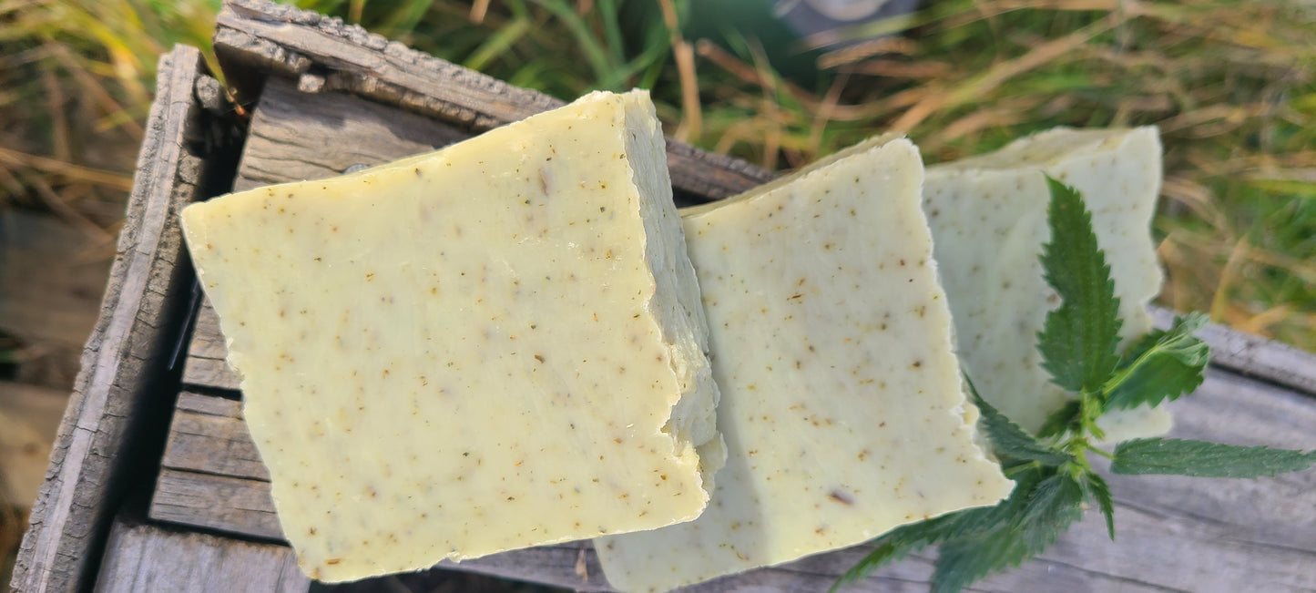 Plantain & Stinging Nettle Soap