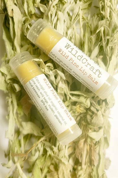 Alberta Wildcraft Wild Pine lip balm