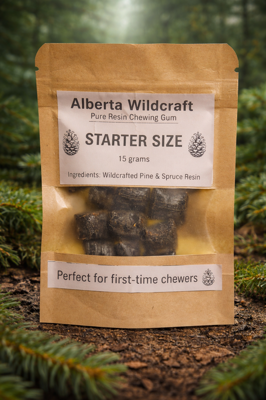 Spruce & Pine Resin Chewing Gum – Starter Size (15 g) | Wild-Harvested Boreal Forest Gum