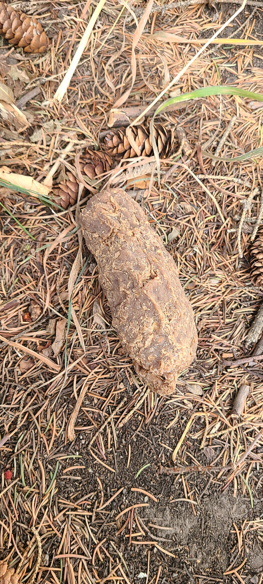 Poop Soap - Wildcrafted Spruce Resin