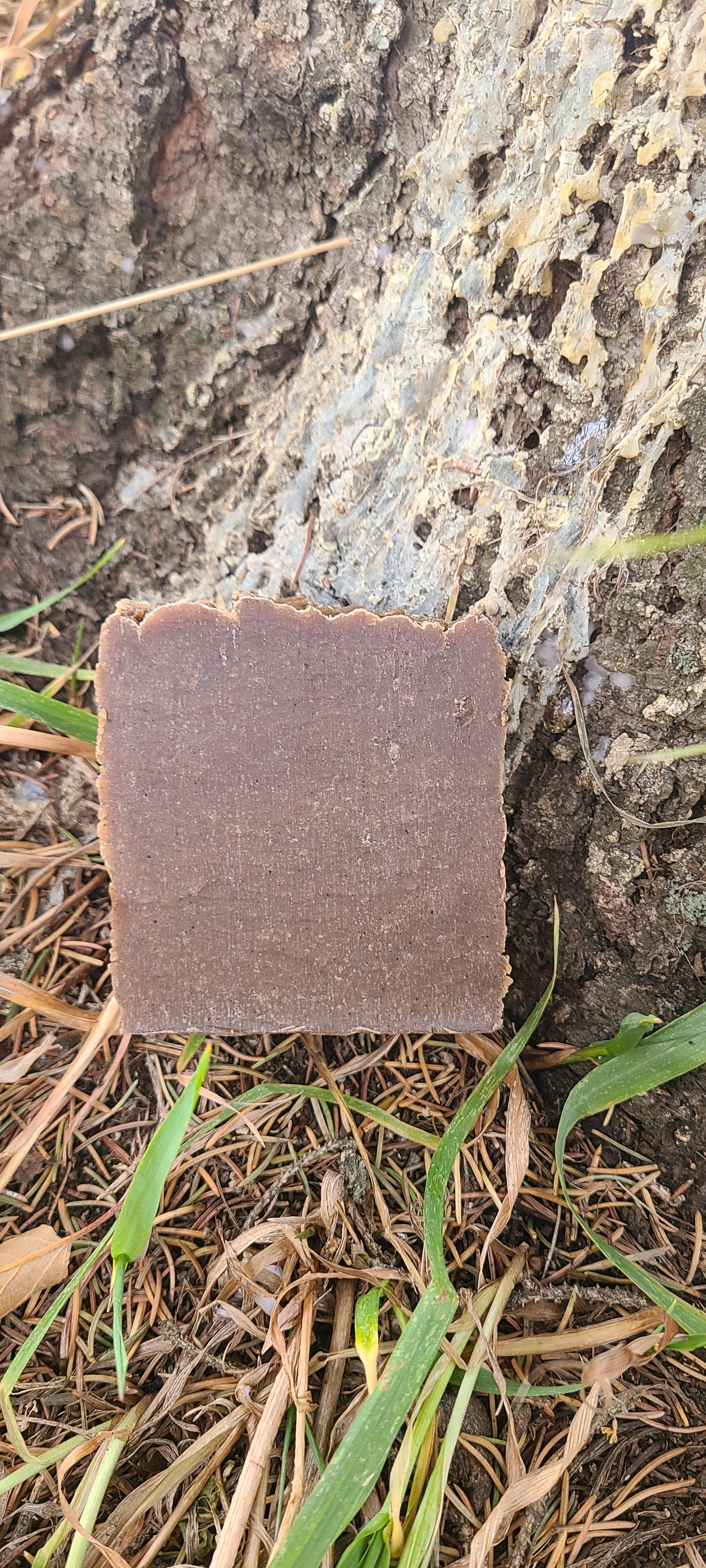 Natural spruce soap close up showing texture