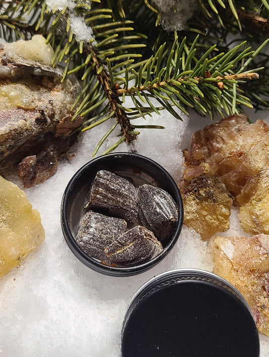 Mini Sample Tin – Wildcrafted Spruce/Pine Resin Chewing Gum