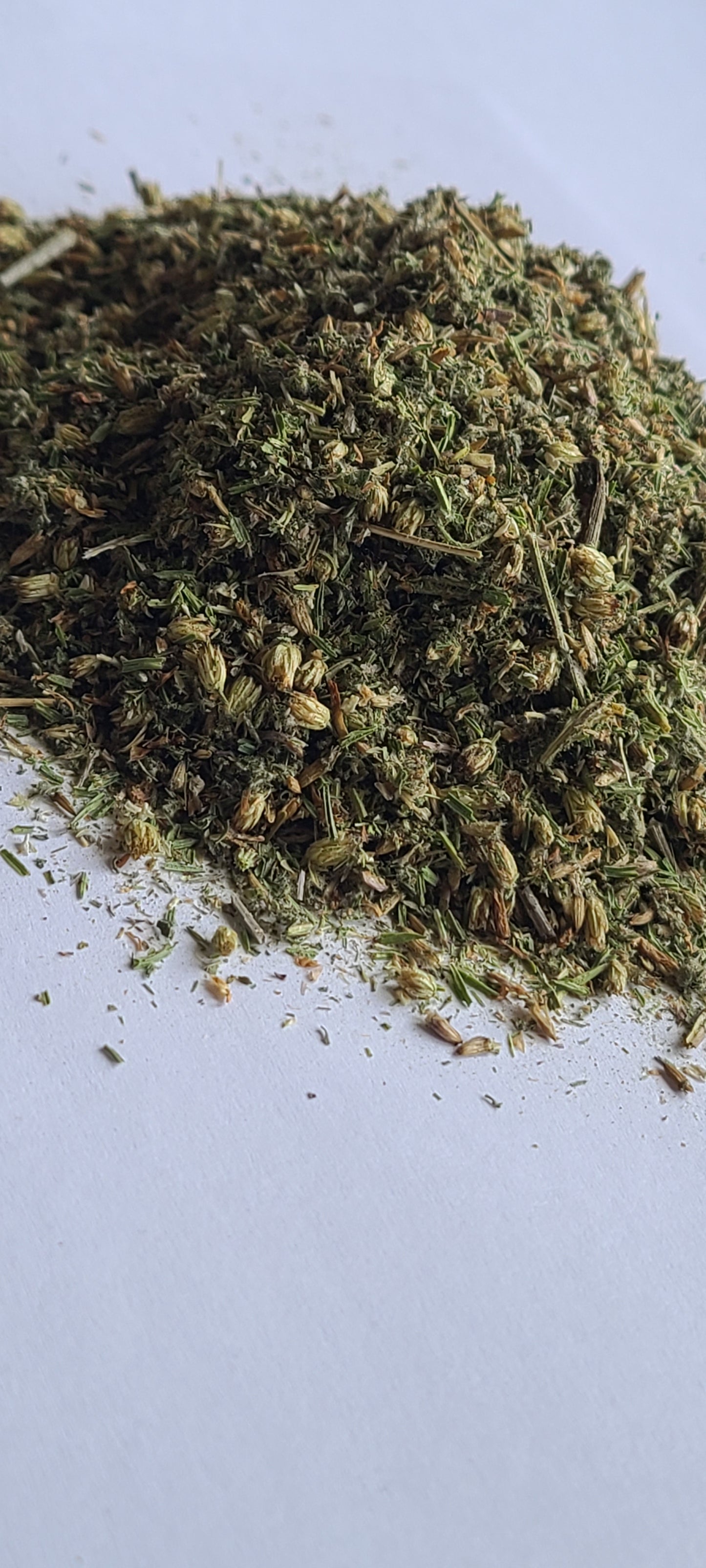 Love Your Kidney Tea — Seasonal Wildcrafted Blend