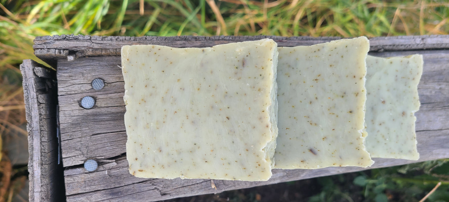 Plantain & Stinging Nettle Soap