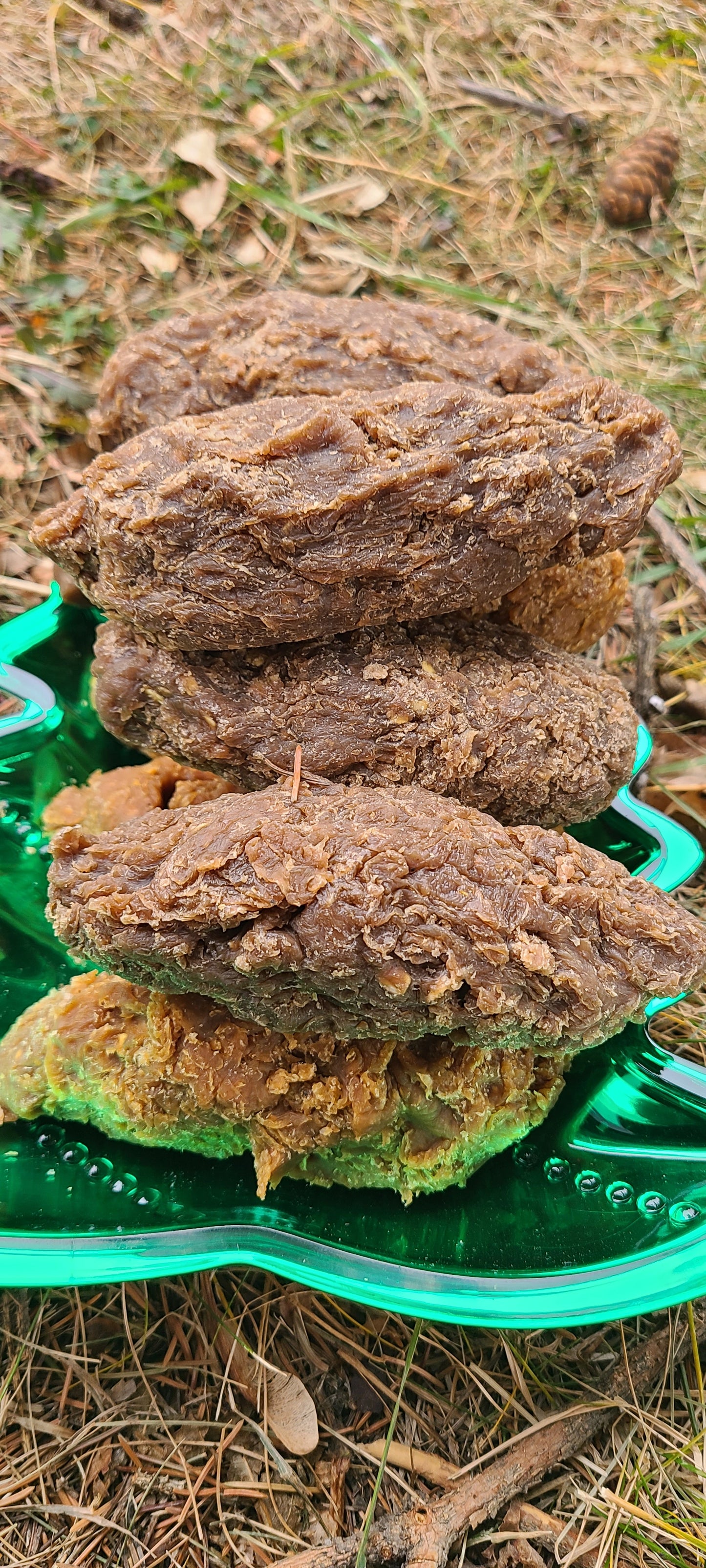 The Sh#t Soap - Wildcrafted Spruce Resin