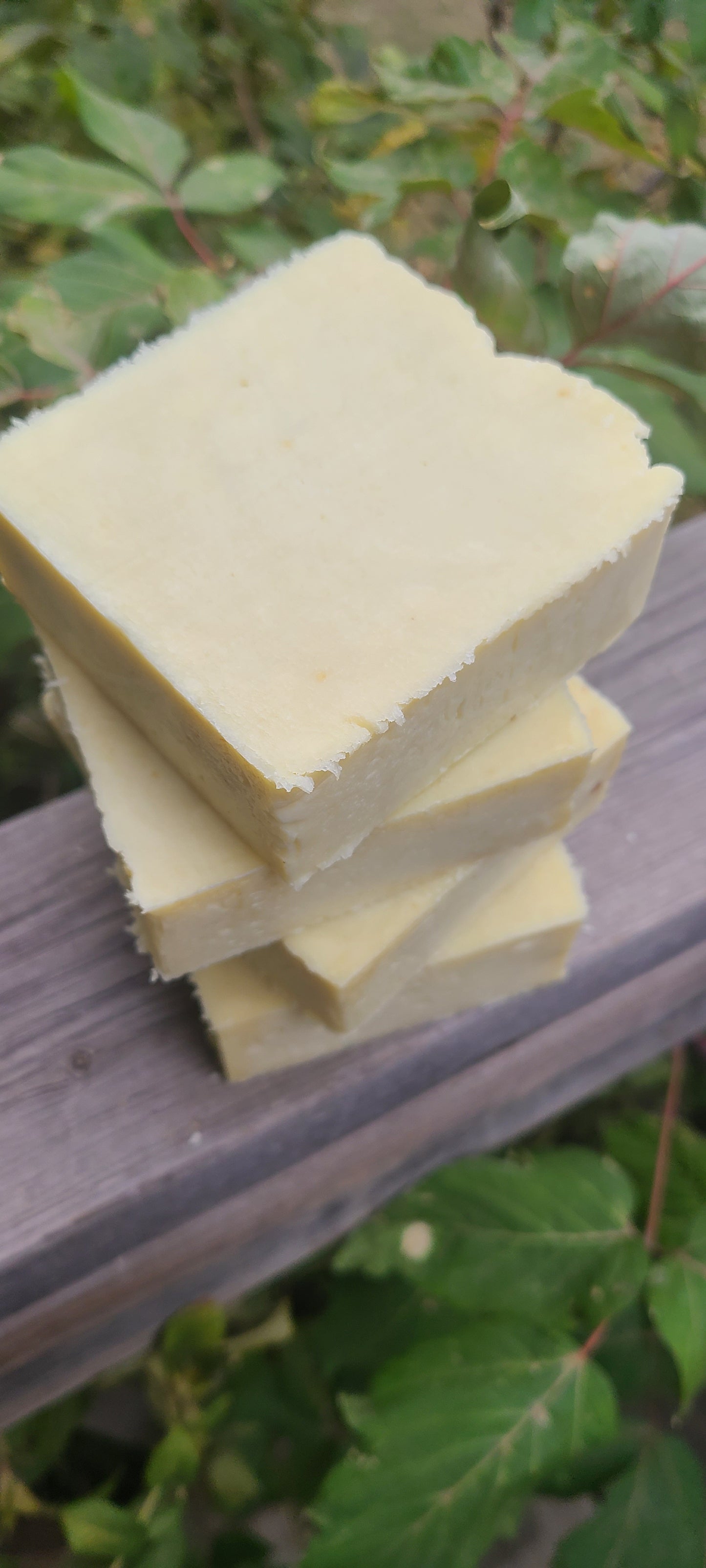 🌿 Mullein Leaf Soap-  Pure • Gentle • Wildcrafted