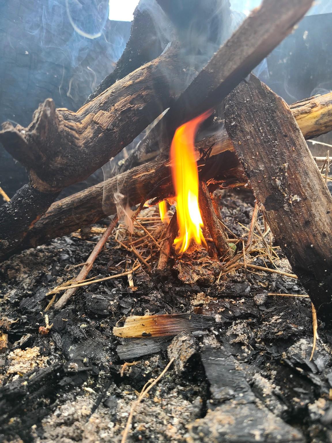 Firestarter / Resin-Soaked Bushcraft Igniters