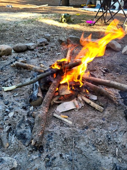 alberta wildcraft bushcraft igniters firestarters