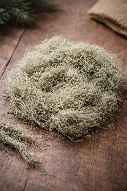 Alberta Wildcraft Usnea Old Man's Beard lichen