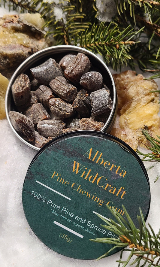 Spruce Resin Gum | Natural Pine Chewing Gum from Alberta