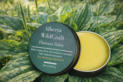 Alberta Wildcraft wildcrafted plantain herbal balm