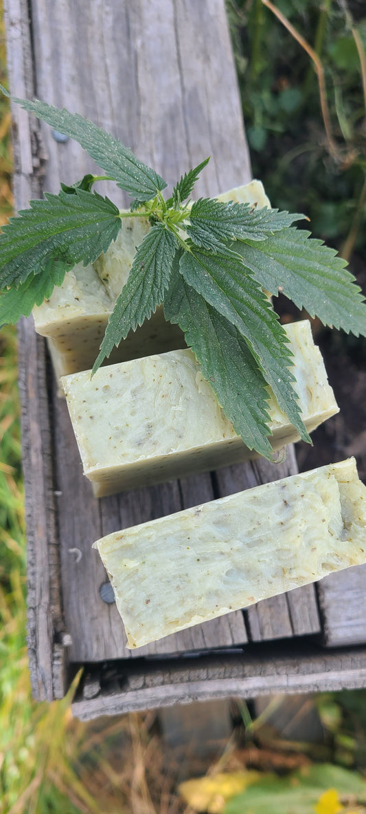 Plantain & Stinging Nettle Soap
