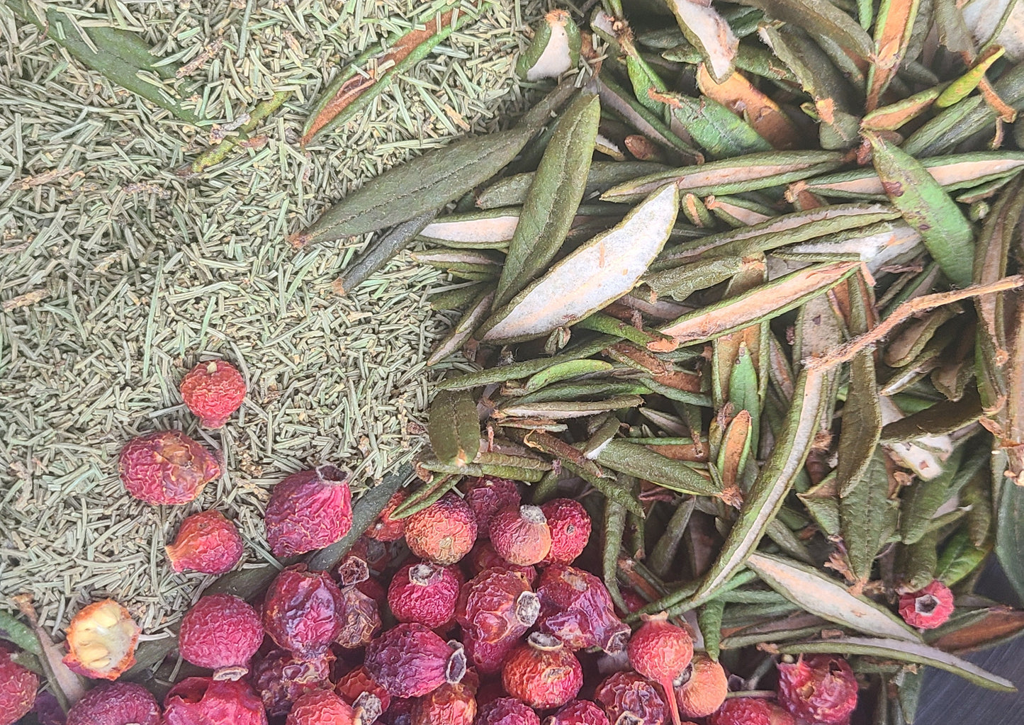 Limited batch Spruce Winter Tea Labrador Edition hand-harvested Alberta