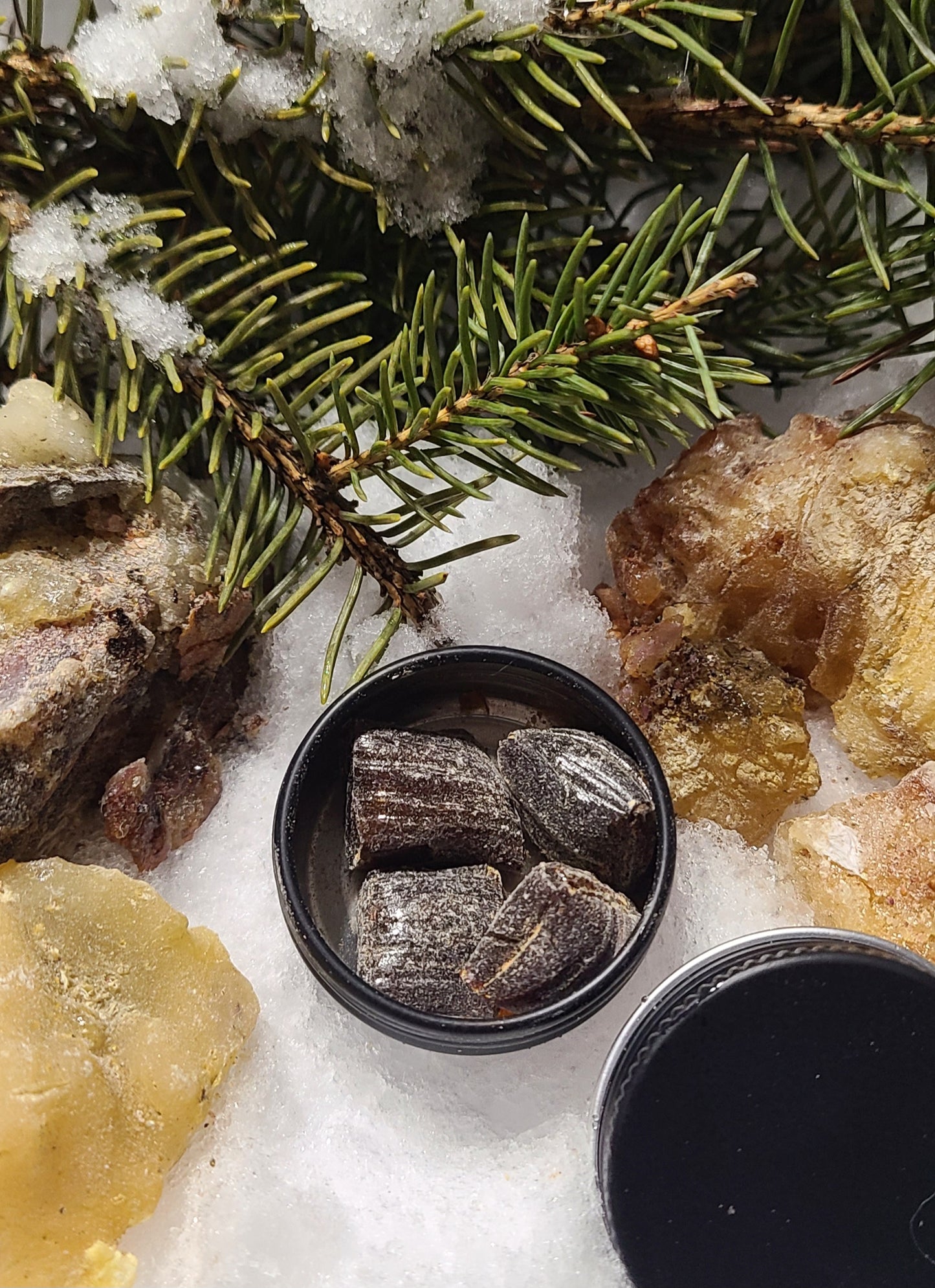 Mini Sample Tin – Wildcrafted Spruce/Pine Resin Chewing Gum