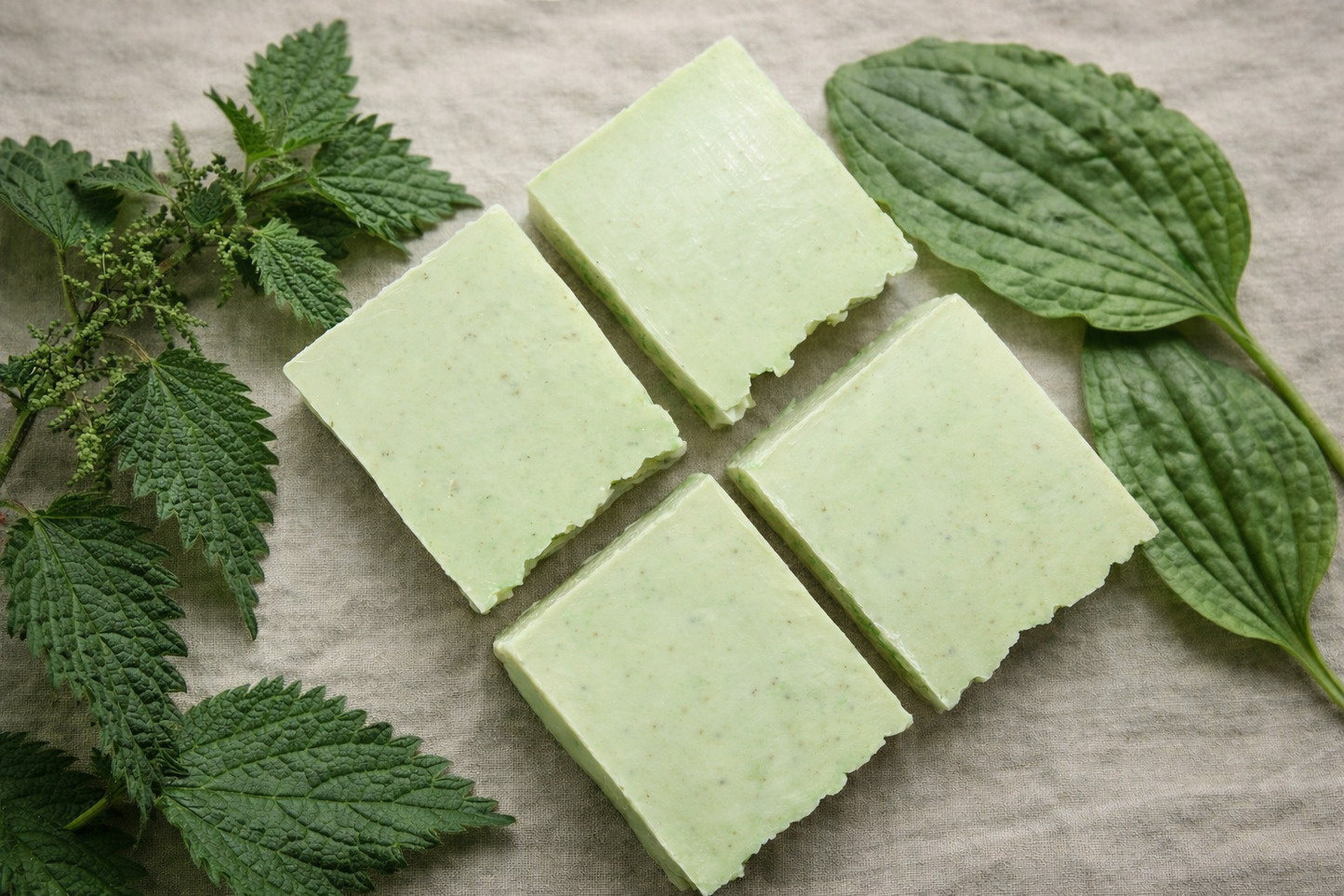 Plantain & Stinging Nettle Soap