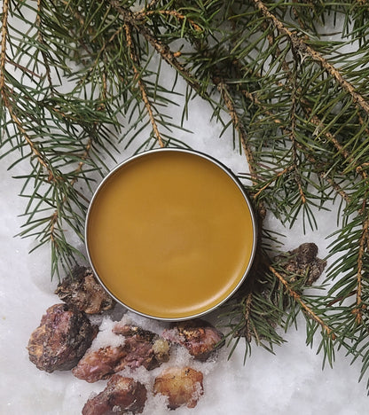 spruce resin skin balm with spruce branches and spruce pitch
