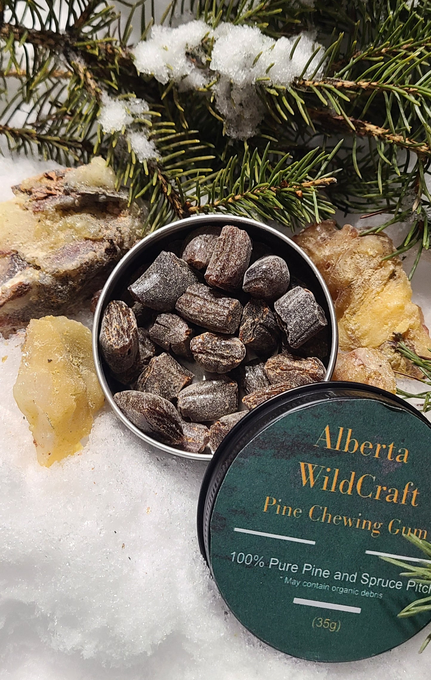 Spruce Resin Gum | Hand-Harvested Chewing Gum from Alberta