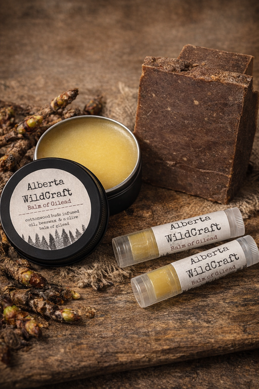 Balm of Gilead Gift Set - Cottonwood Bud Soap, Healing Balm, and 2 Lip Balms by Alberta Wildcraft.