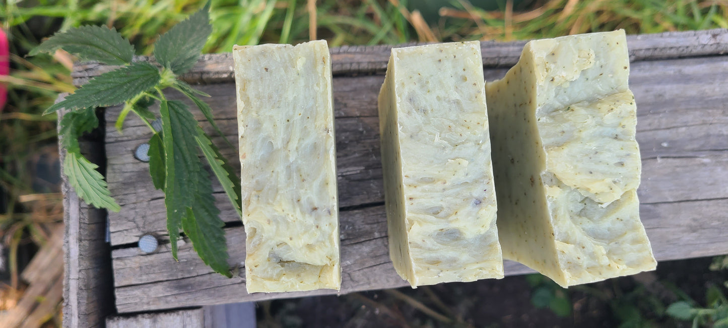 Plantain & Stinging Nettle Soap
