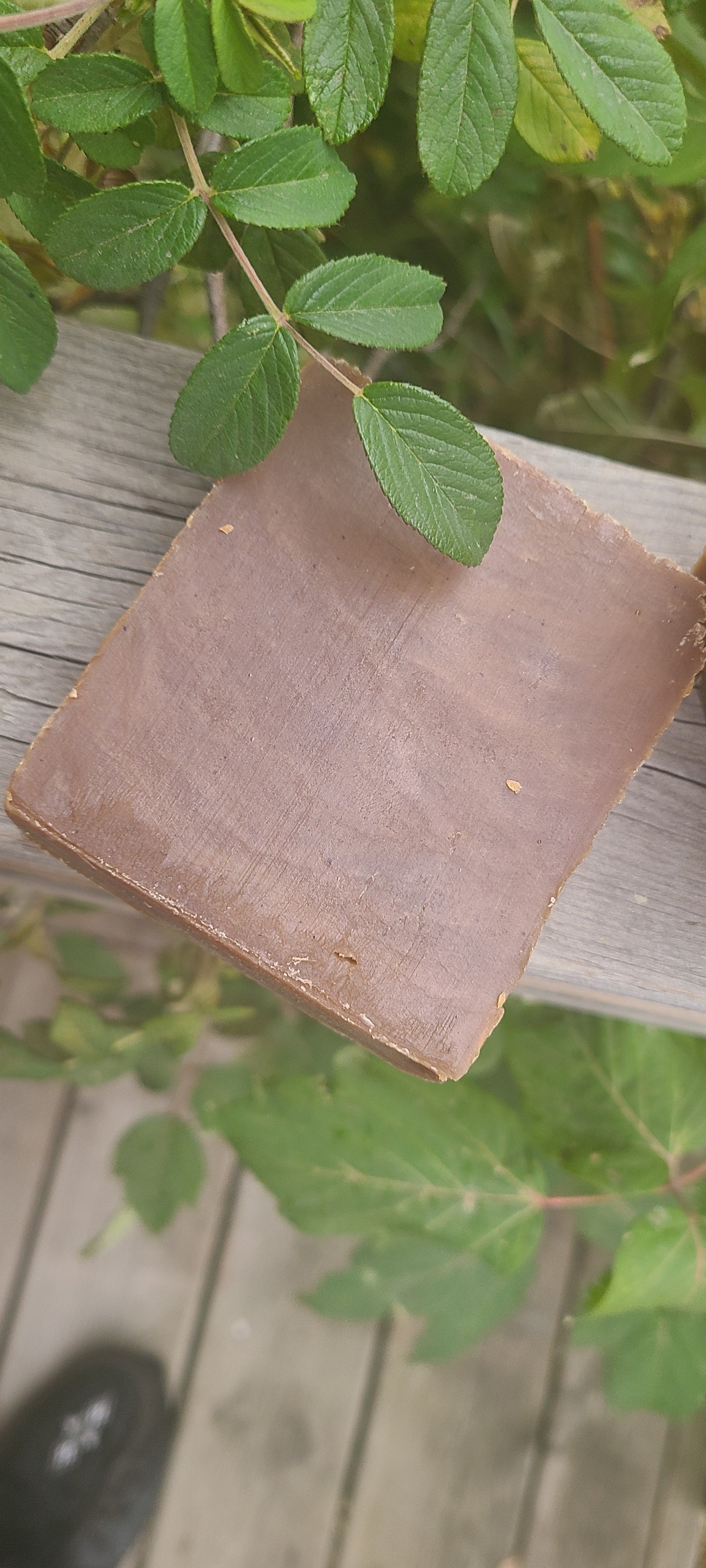 Spruce resin Handmade Natural Soaps