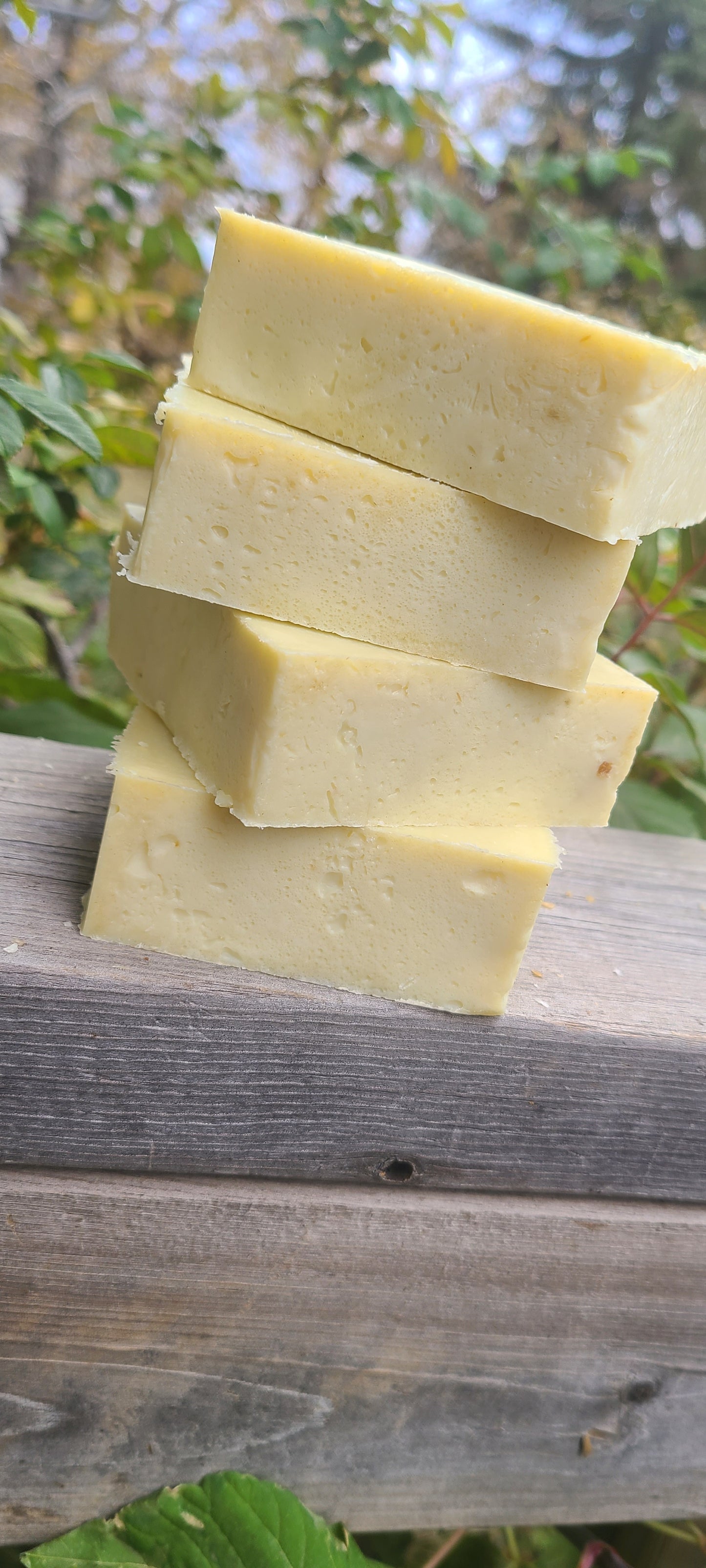 🌿 Mullein Leaf Soap-  Pure • Gentle • Wildcrafted