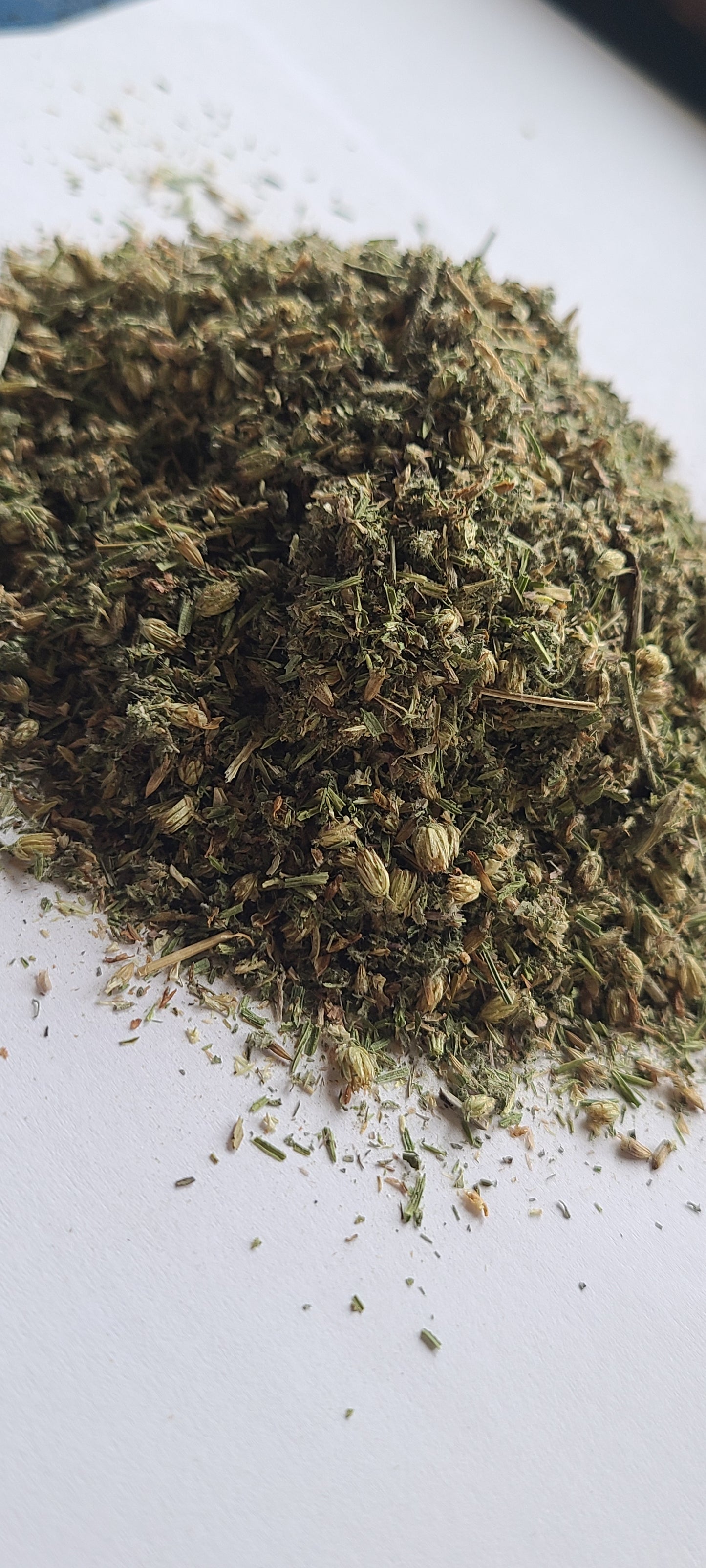 Love Your Kidney Tea — Seasonal Wildcrafted Blend