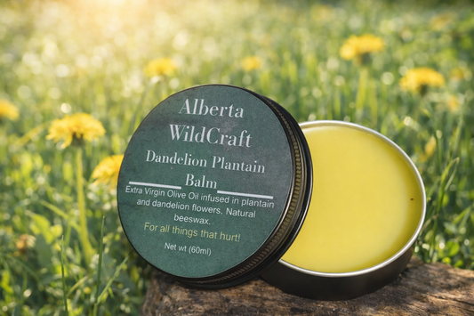 Dandelion + Plantain Balm