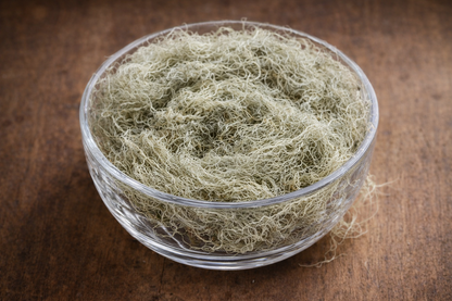 Wildcrafted Usnea beard lichen from Alberta Wildcraft