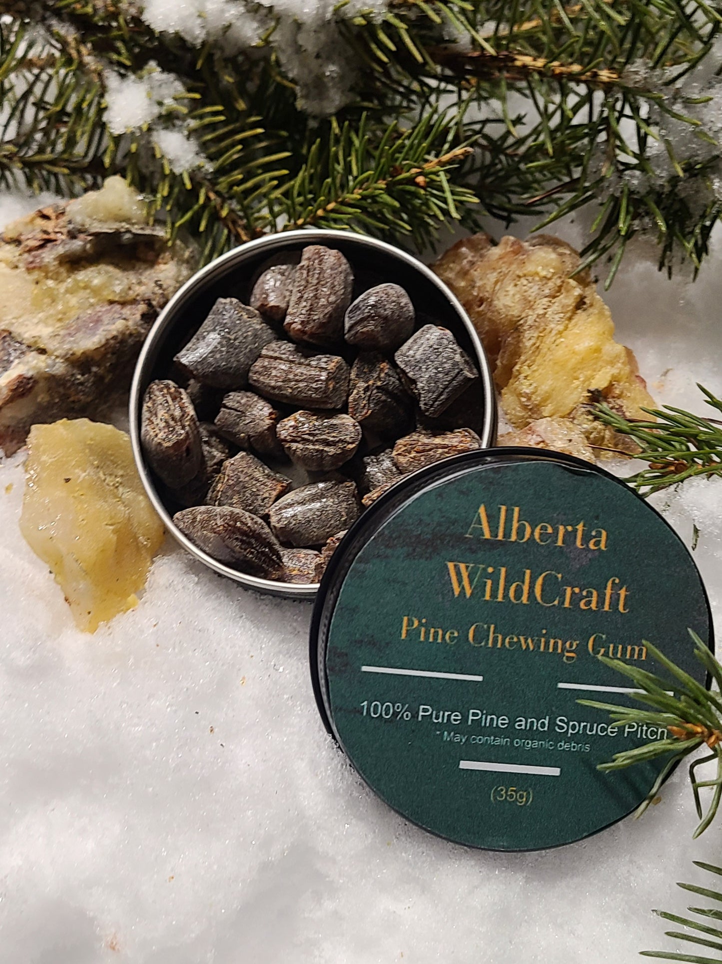 Spruce Resin Gum | Hand-Harvested Chewing Gum from Alberta